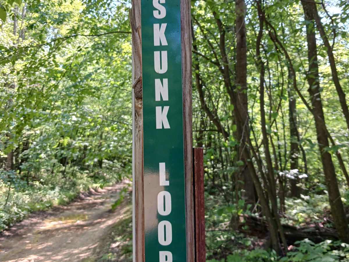 Skunk Loop - Rock Run Recreation Area trail photo