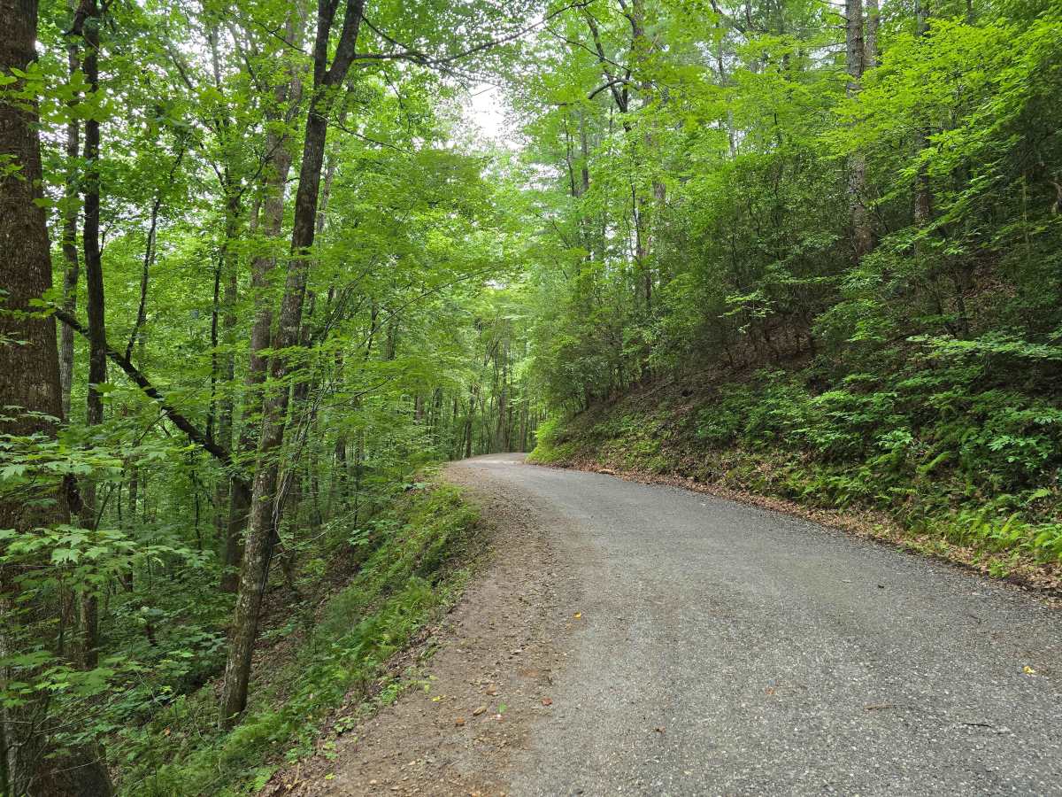 Leatherwood Road - FS 6176 trail photo