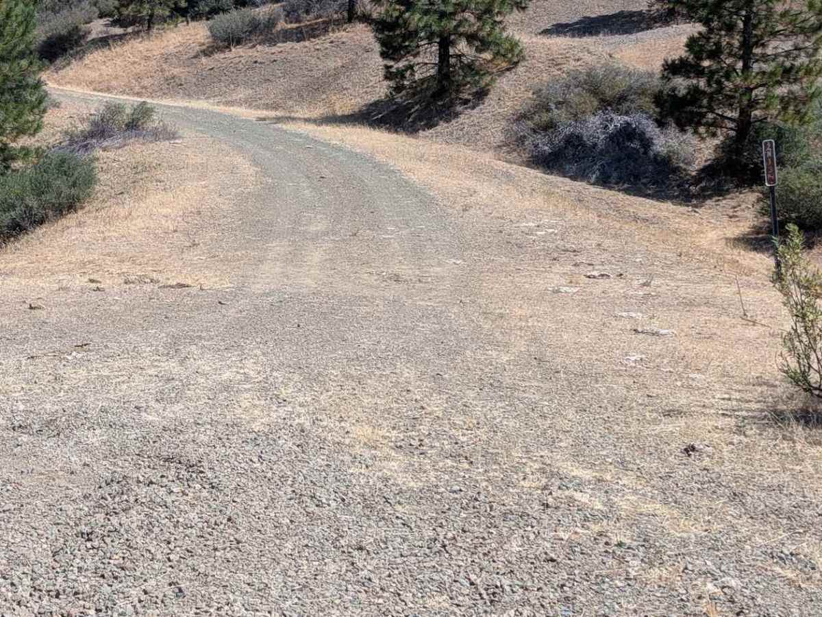 Enemy Road - FS 2N13 trail photo