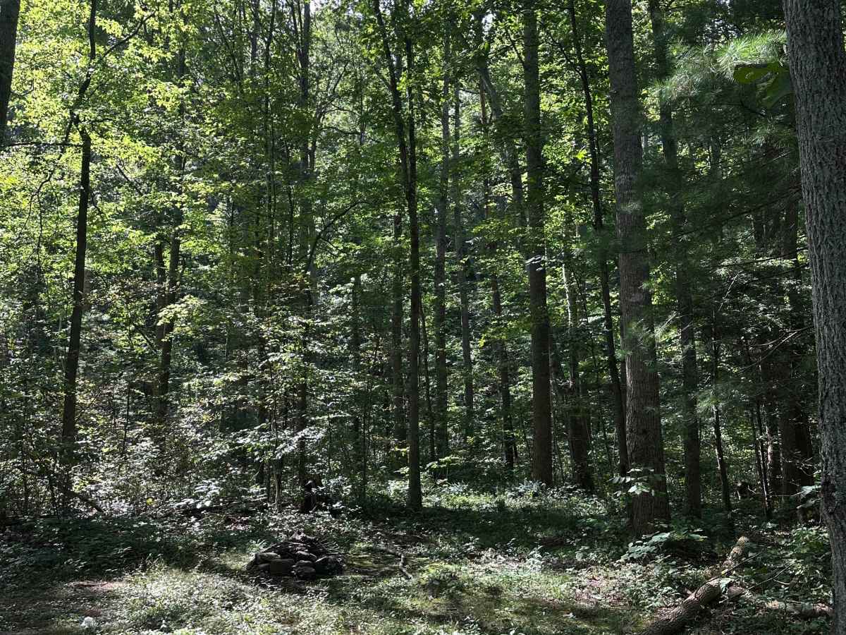 Duncan Hollow photo 3