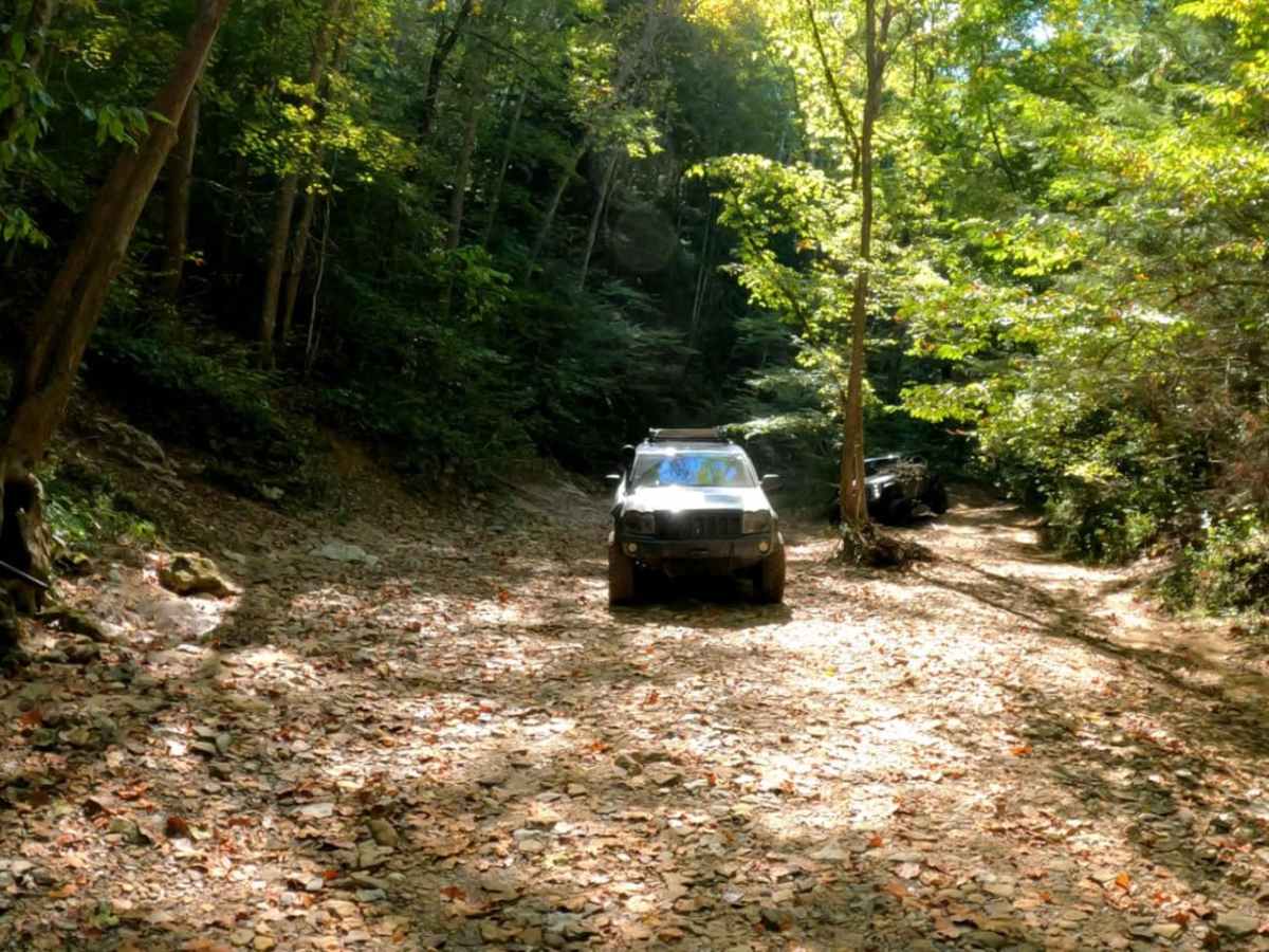Sinking Creek trail photo