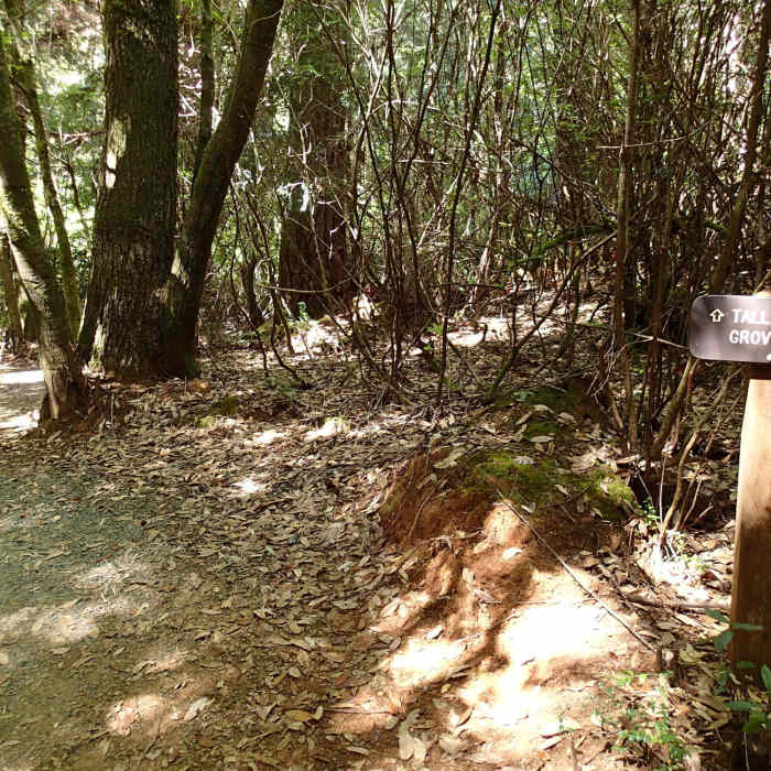 Trailhead parking area. Near Emerald Ridge Trail
