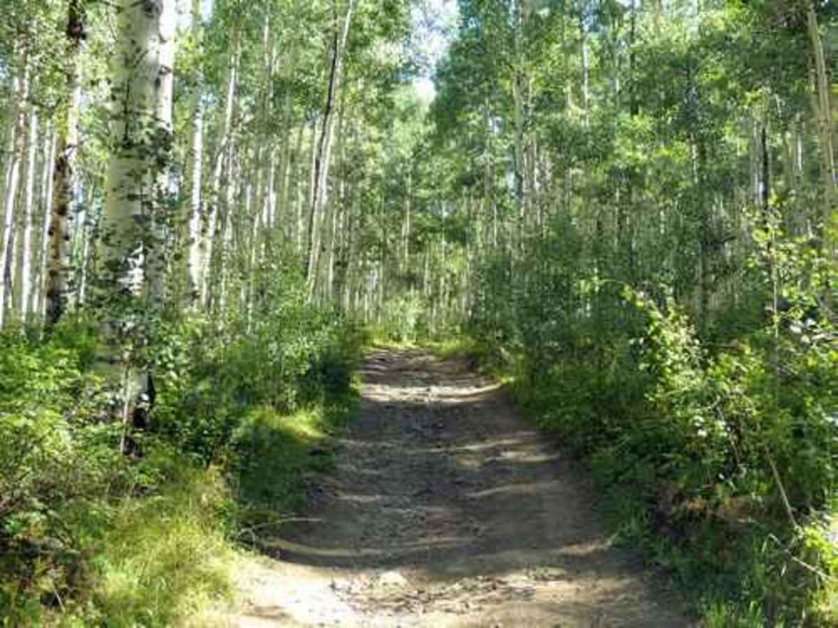 Leon Lake photo 4