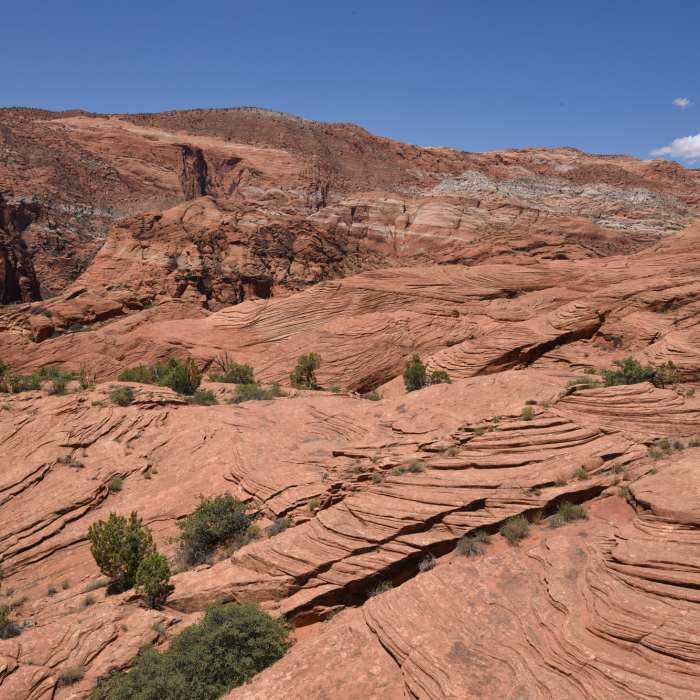 Near Whiptail Trail