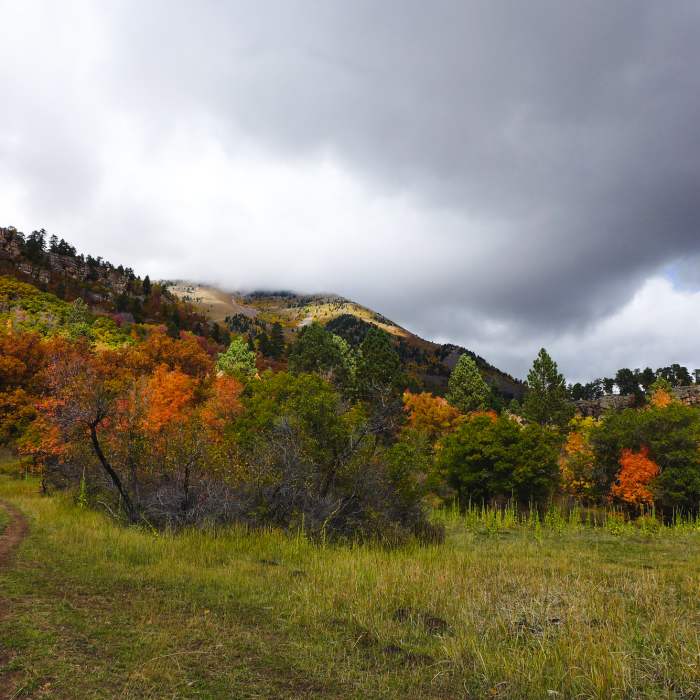 Near Wagonwheel Trail (168)