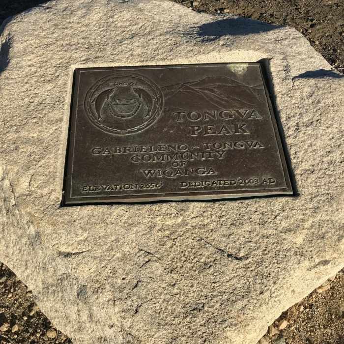 This is your summit goal. The highest peak in the Verdugo Mountains Near Verdugo Crest Trail