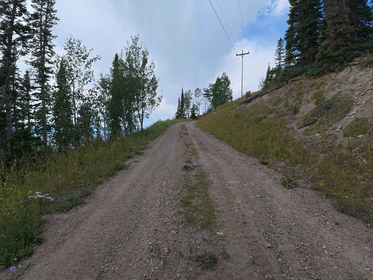 Grouse Mountain FAA Site - FS 262.1 photo 2