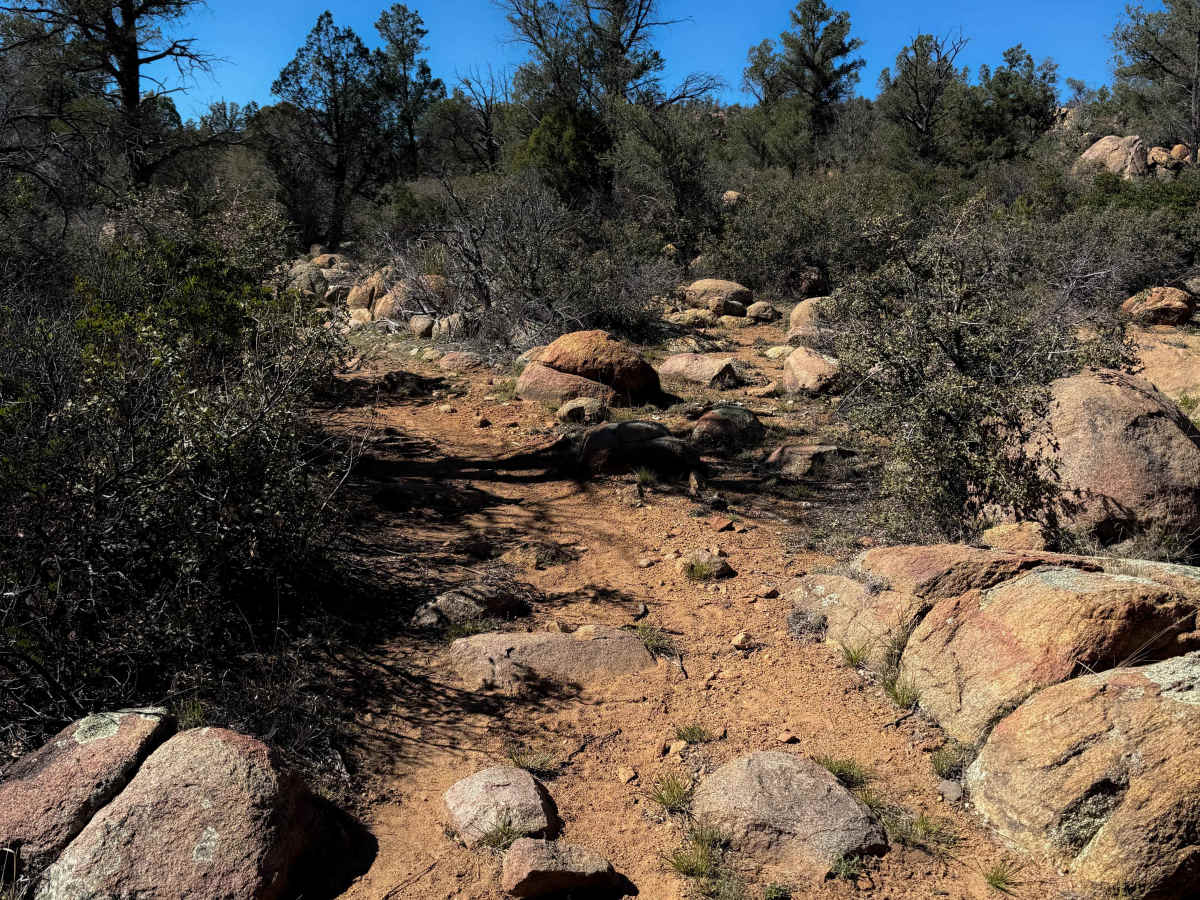 Elbow Springs #9941 trail photo