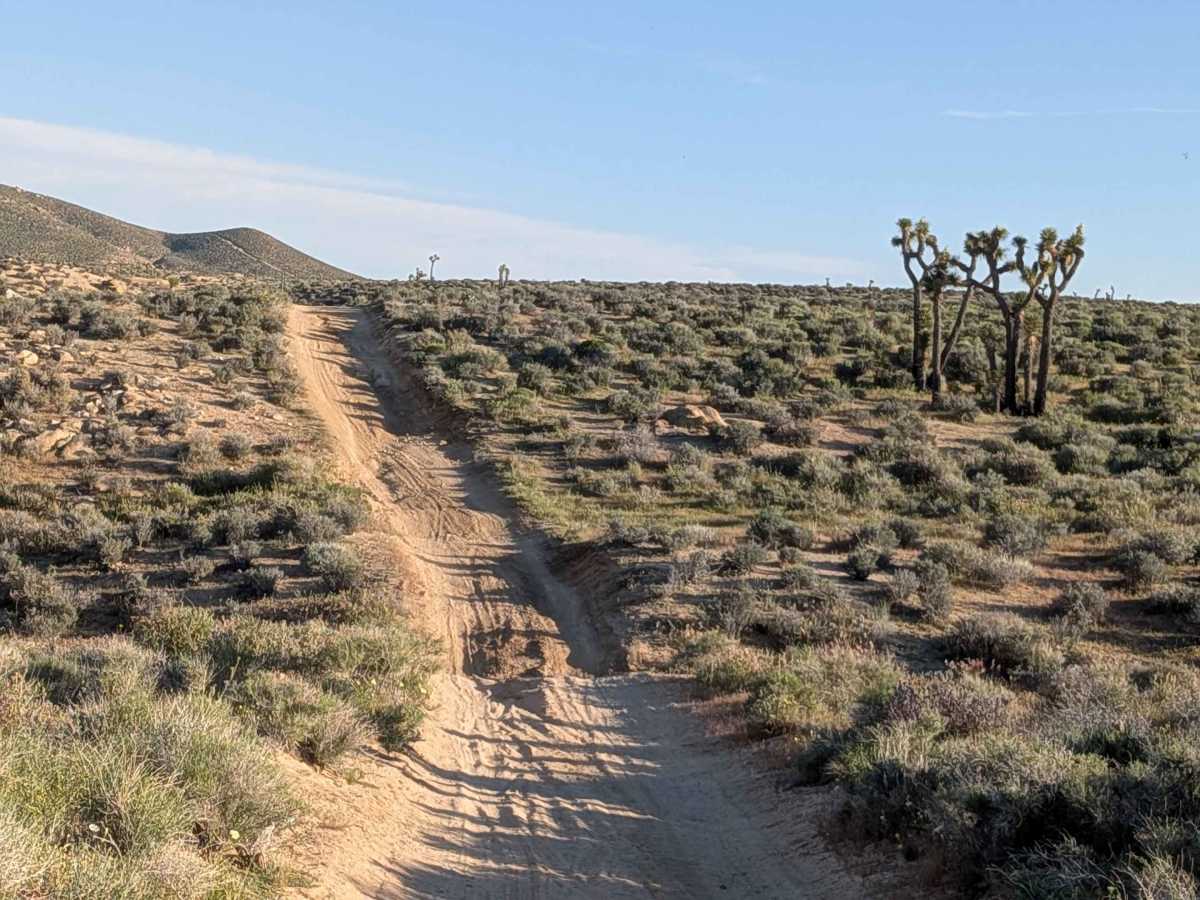 BLM SC161 photo 4