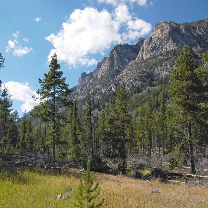 Near Lost Lake Near Lost Lake