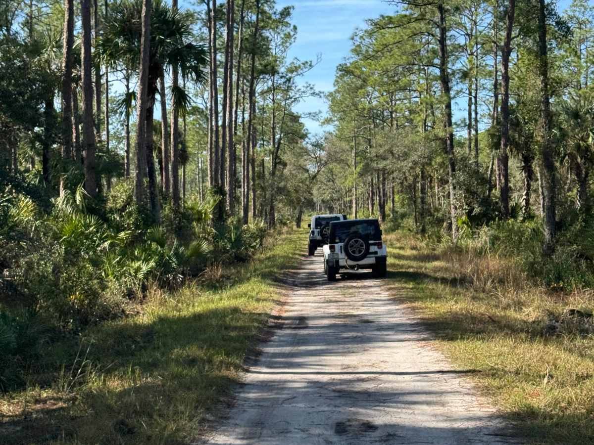 Long Bluff Road photo 2