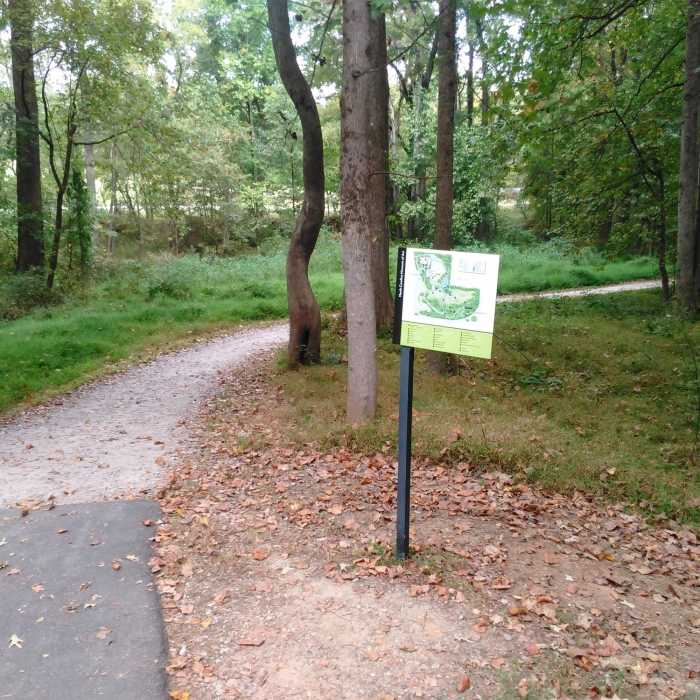 Near Reedy Creek Trail