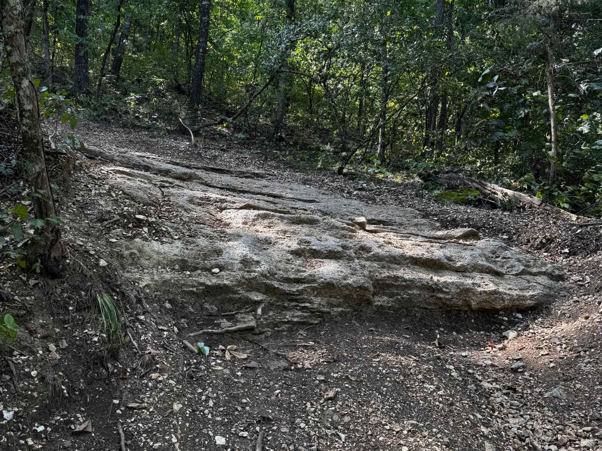 Cliff Hanger 1 photo 4
