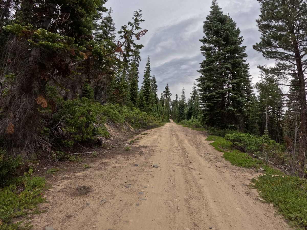 Mohawk Chapman Road - FS 22N98 photo 5