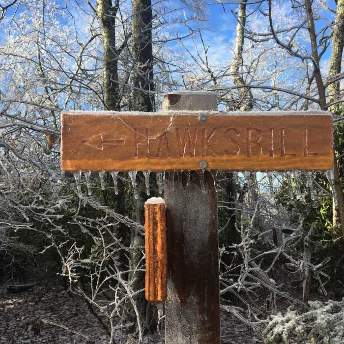 Near Hawksbill Mountain Trail