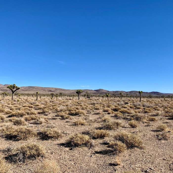 Near Cerro Gordo Ghost Town via Saline Valley Road