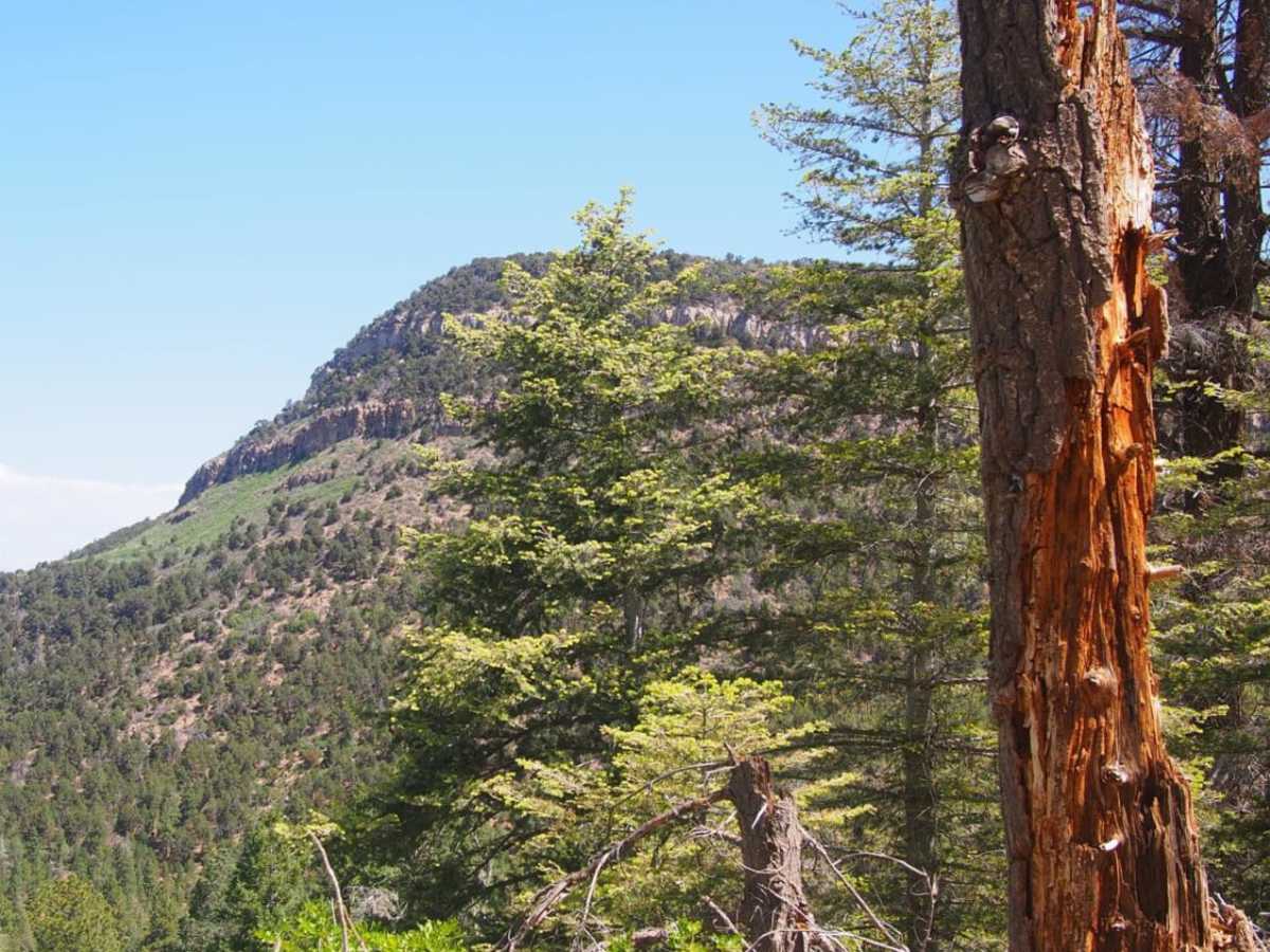 Palo Duroso Canyon photo 6