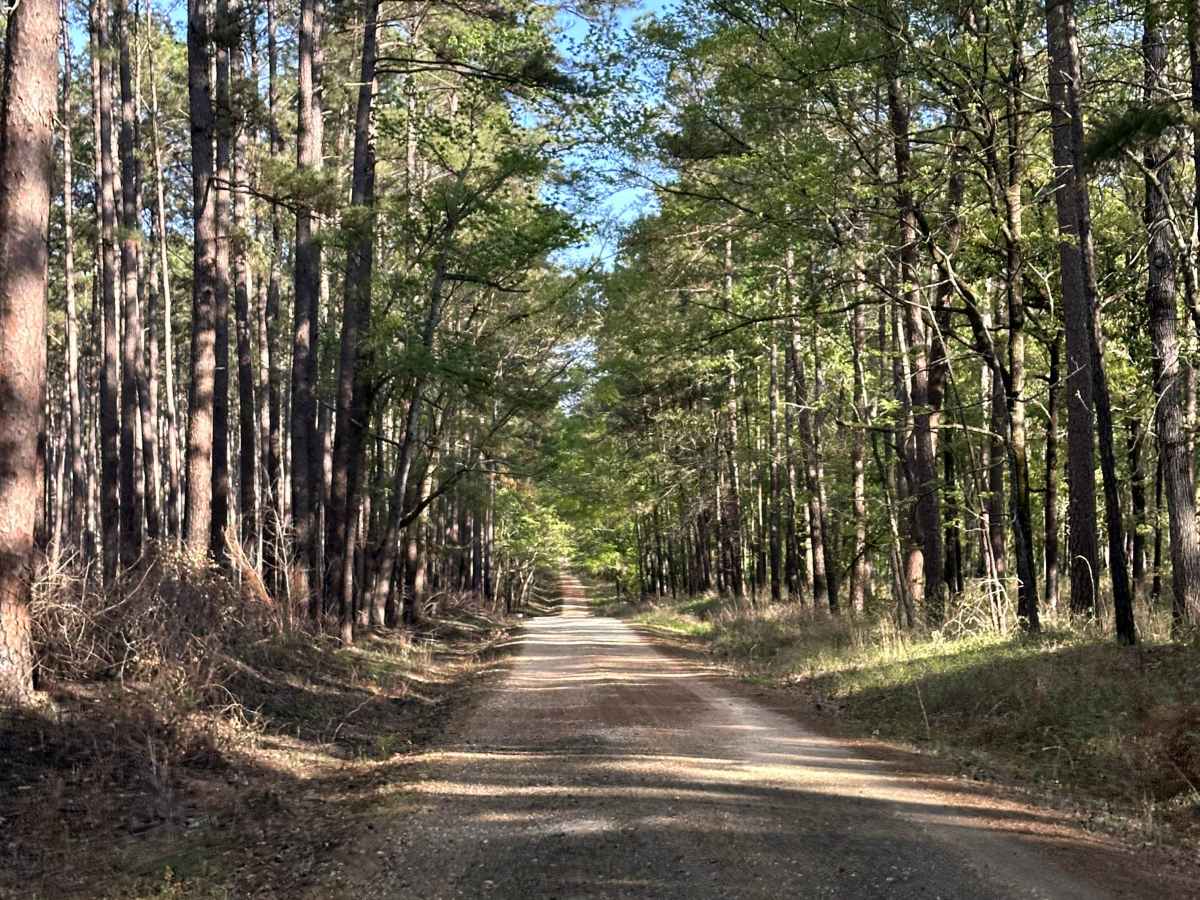 Harrisontown - FS 521  photo 5