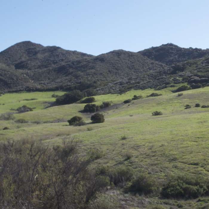 Rolling hills surrounding Ranco Sierra Vista/Satwiwa. Near Rancho Sierra Vista Loop