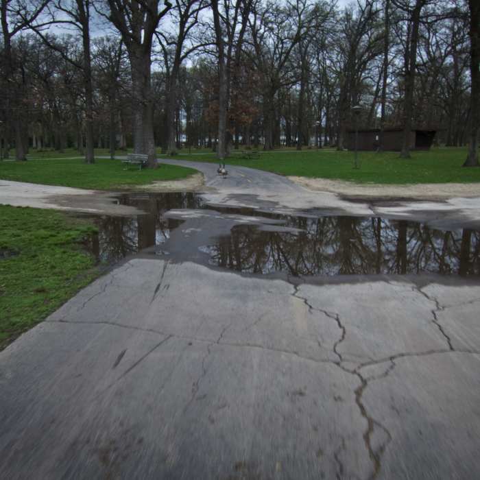 A paved and painted section of the Rock River Recreation Path heads through Shorewood Park. Near Rock River Recreation Path