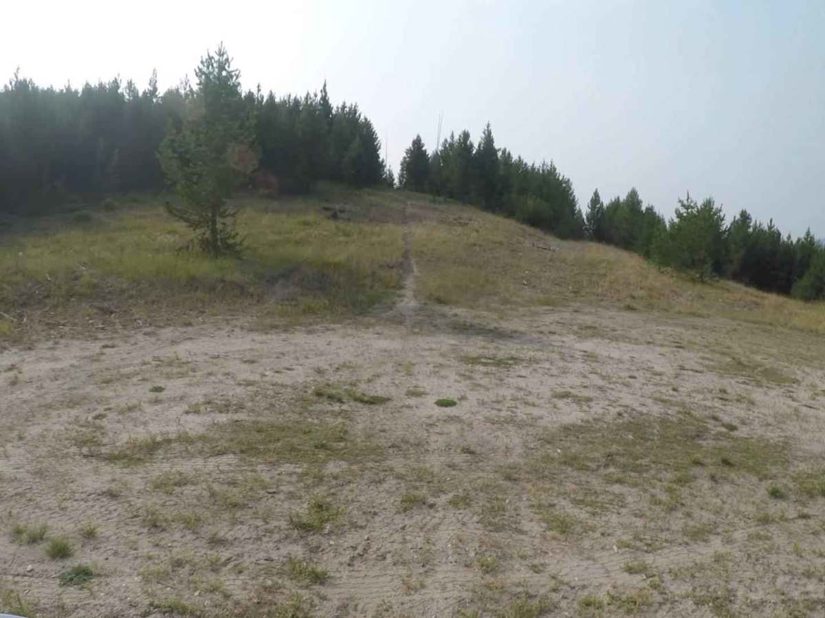 FS 62585 trail photo