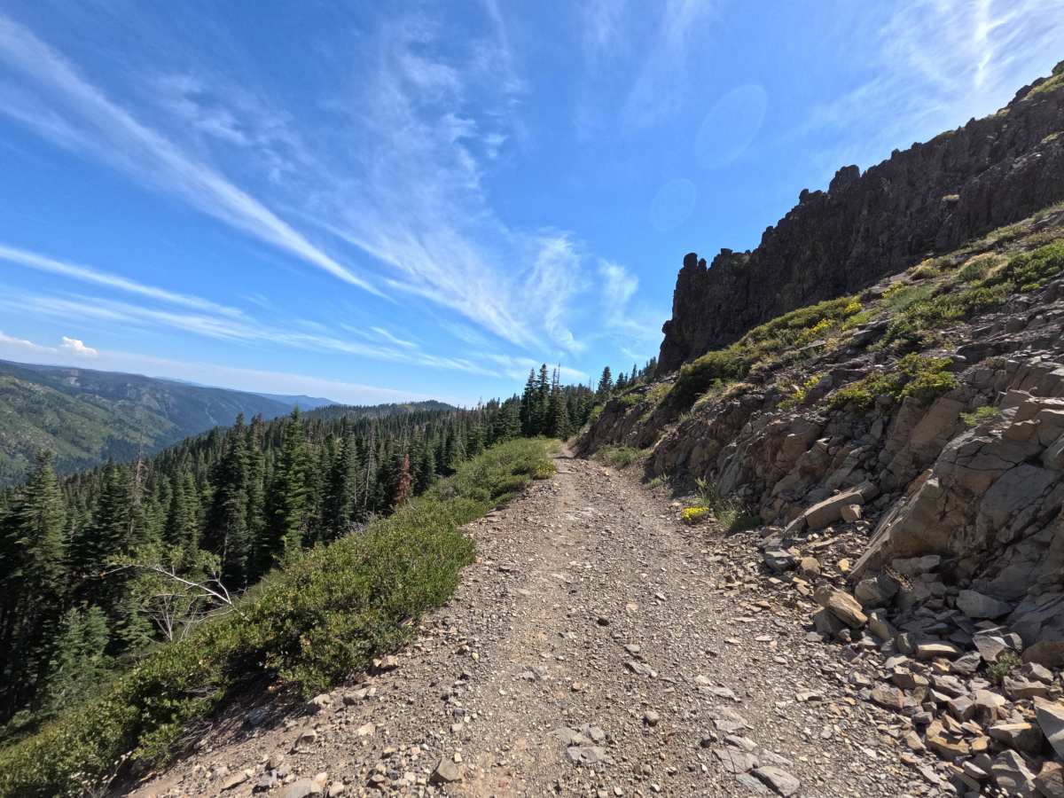 Cowell Mine Road - FS 2308 trail photo