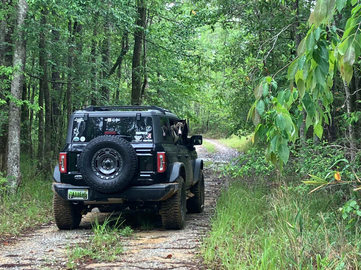 C50 trail photo