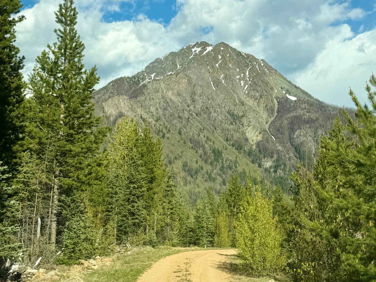 Slim Creek FSR photo 3