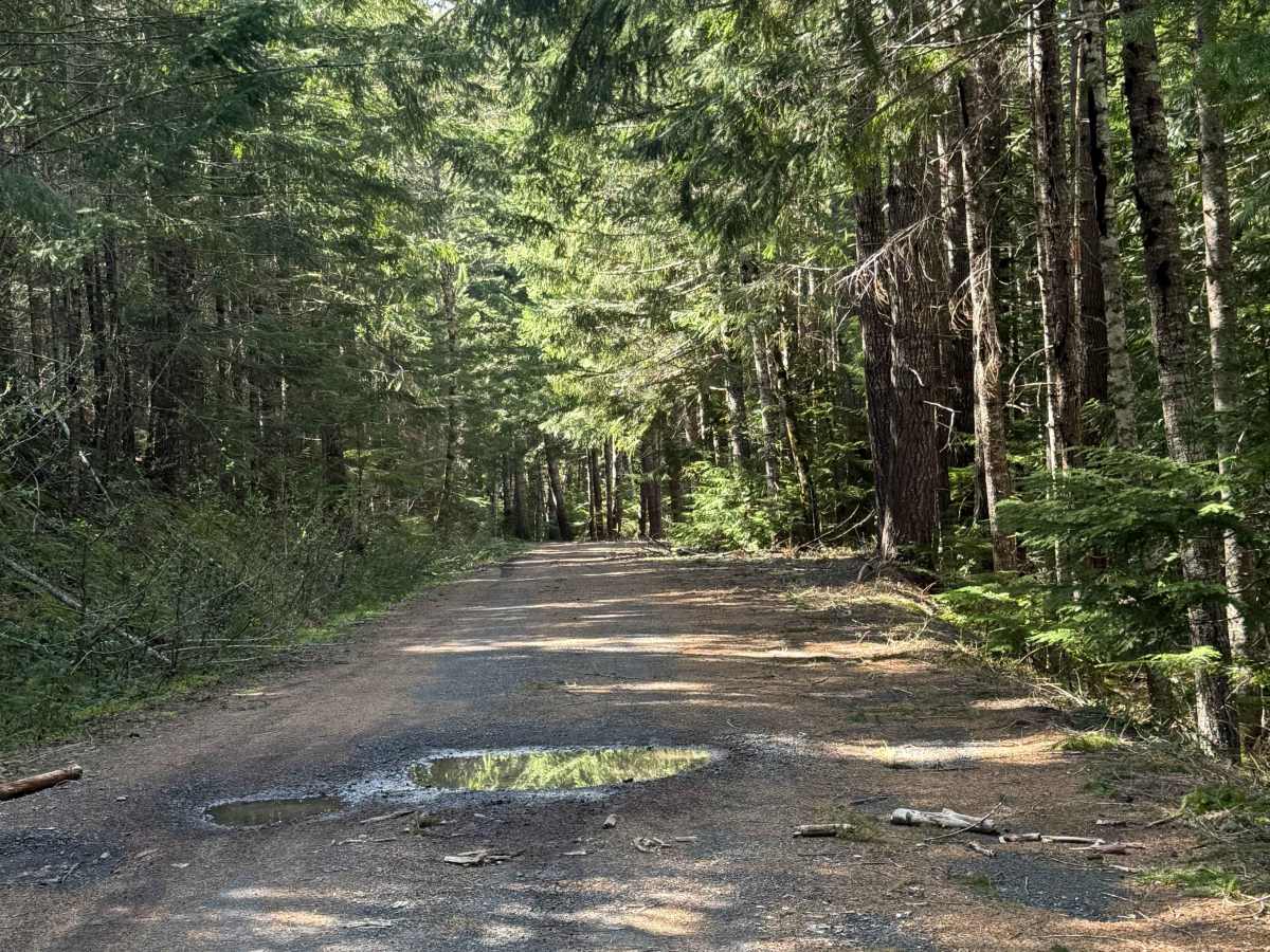 Carlton Creek Road- FS 4400 trail photo