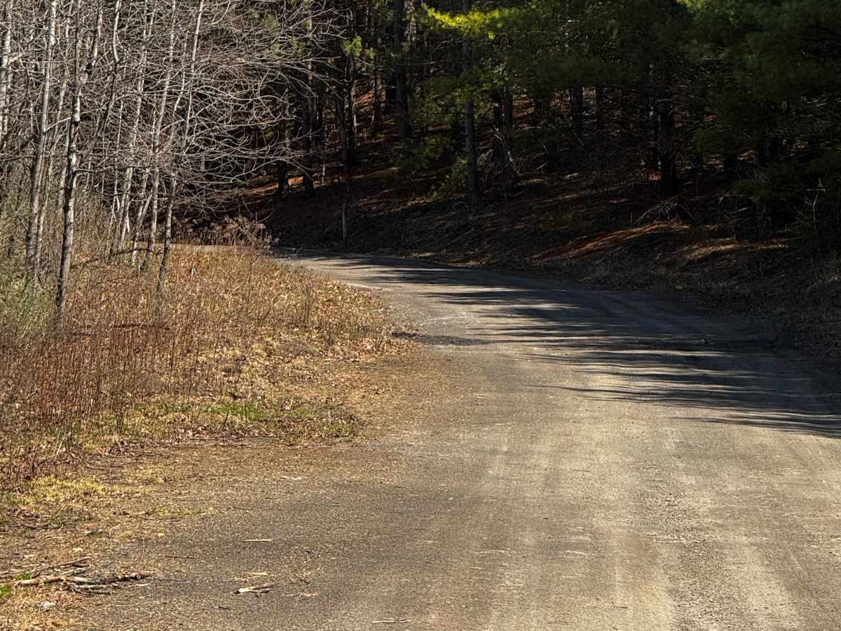 Logway Run Trail photo 5