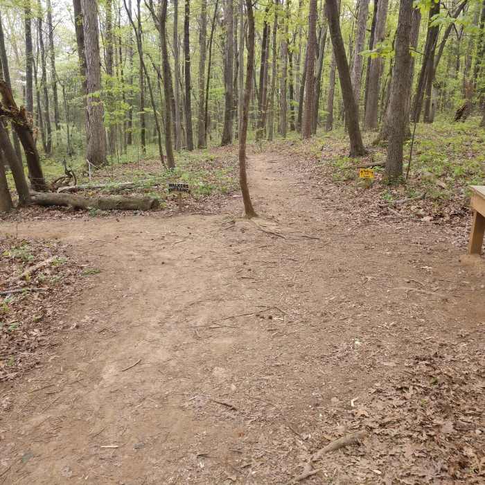 Near Enchanted Forest Loop