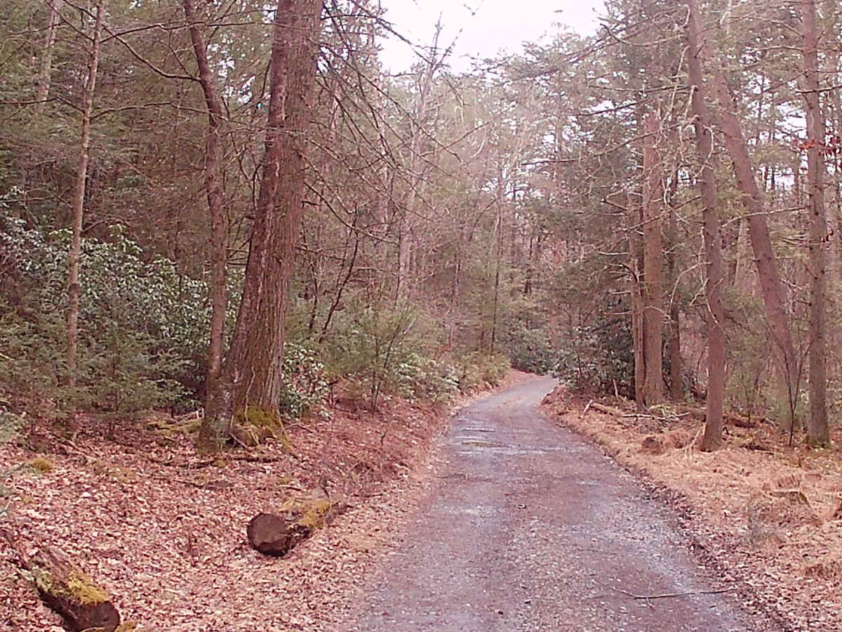 Camp Road photo 4