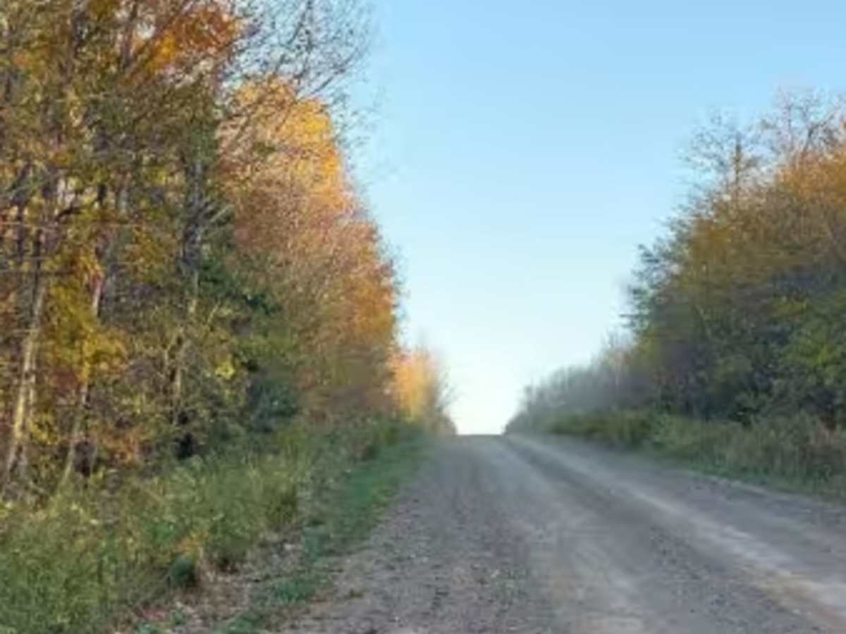 K-10 Road photo 4