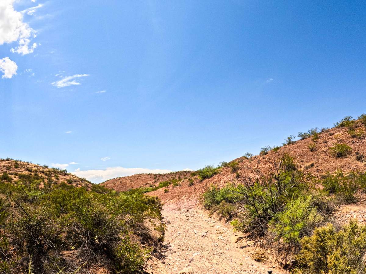 Arroyo photo 2