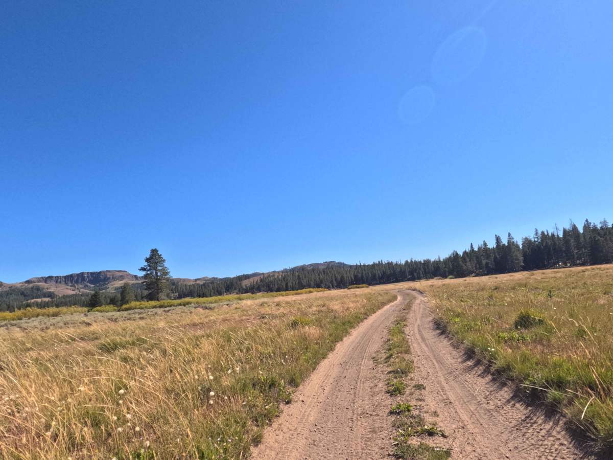 Indian Valley Road - FS 19E04 photo 4