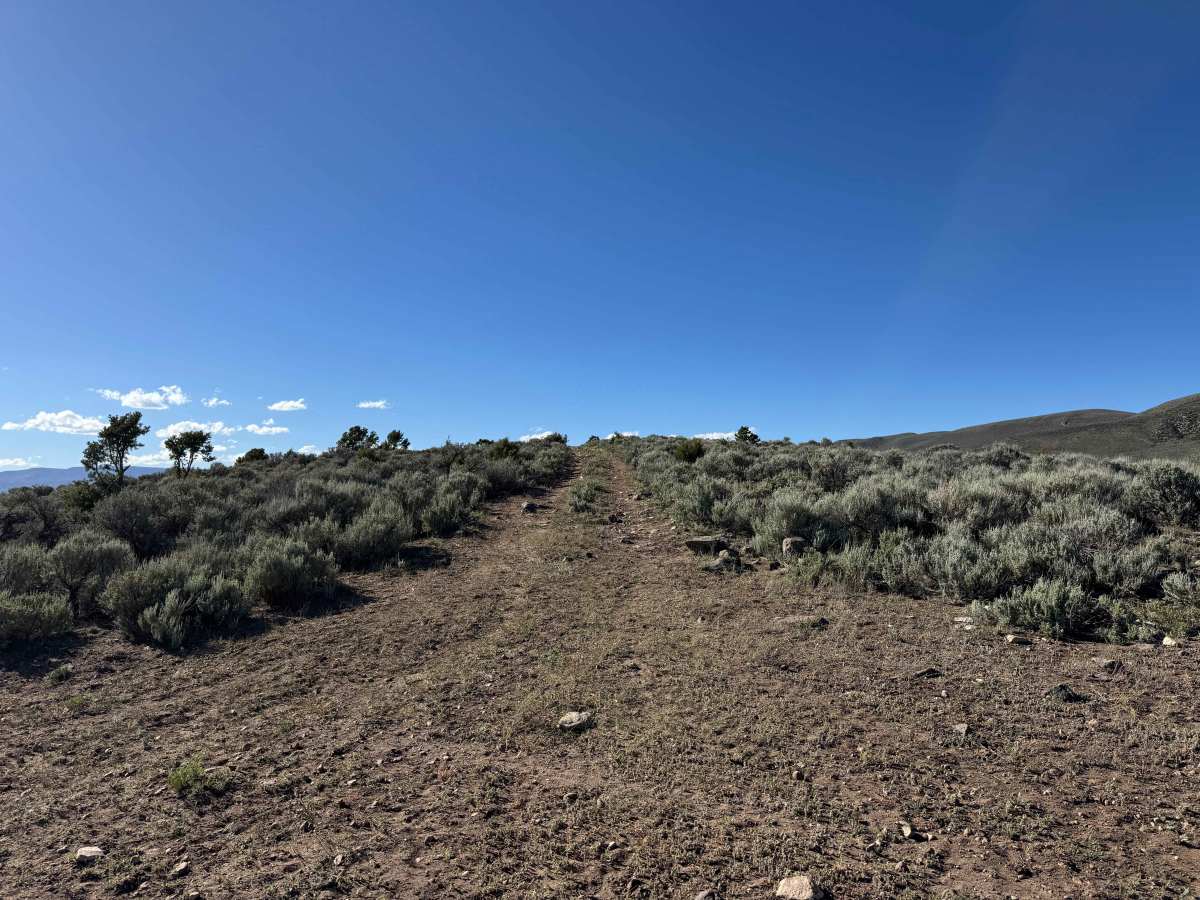 BLM 8485 photo 3