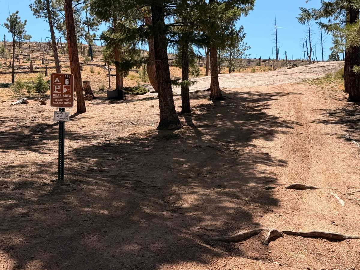 Echo Valley Road photo 6
