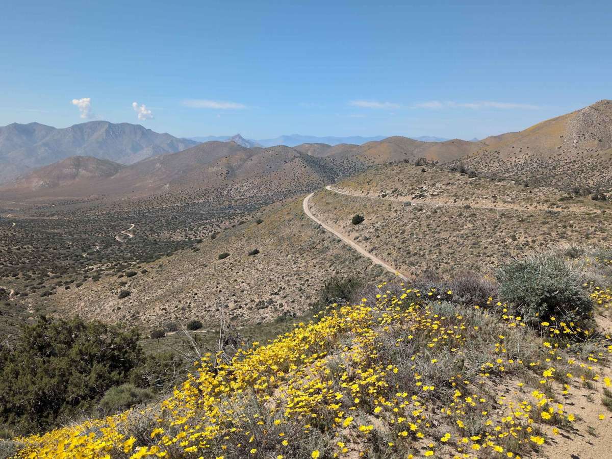 Bird Spring Canyon Road West BLM SC120 trail photo