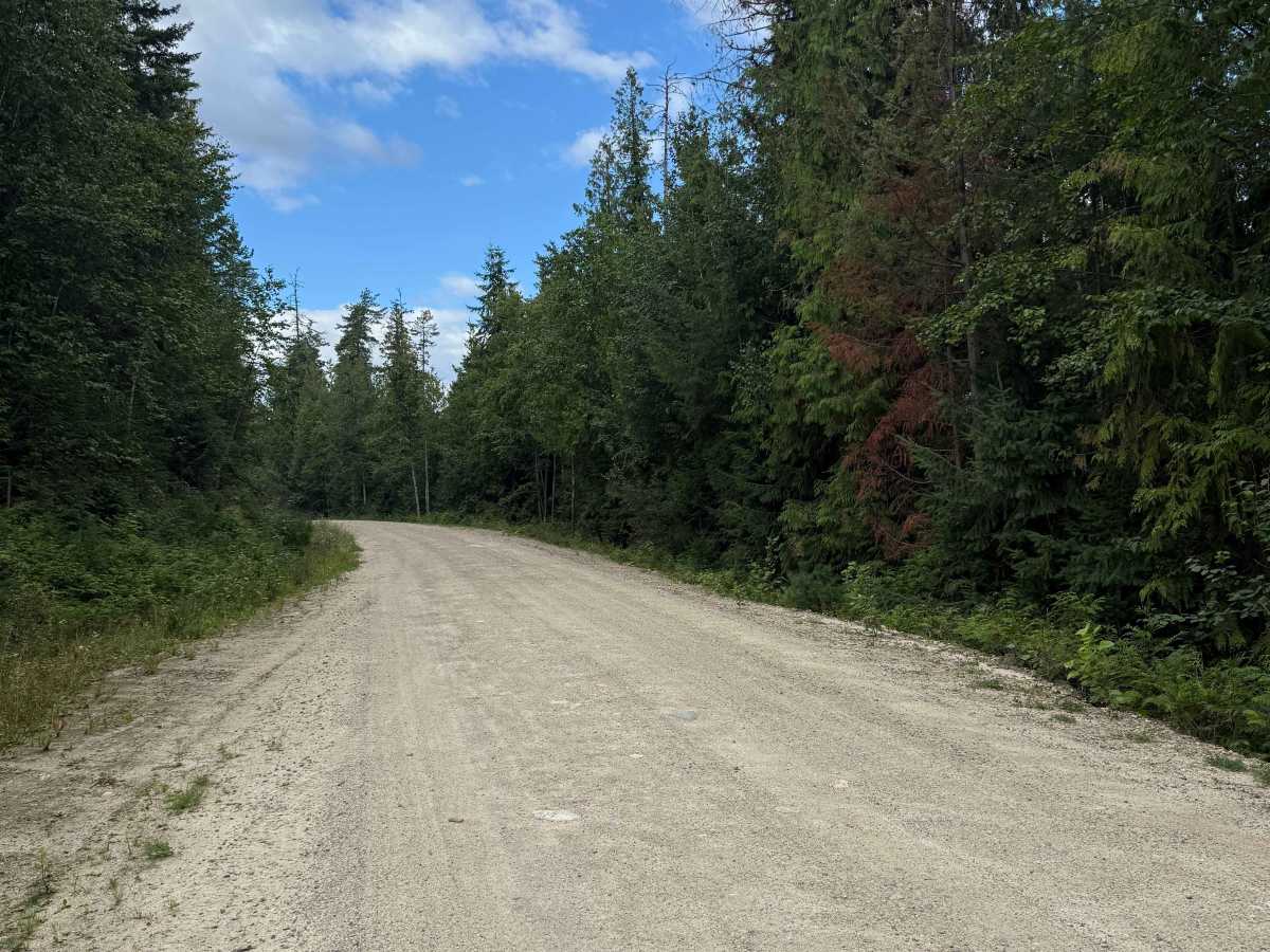 Seymore FSR photo 5