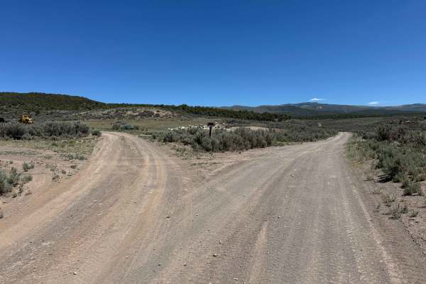 Trail Gulch Road 6