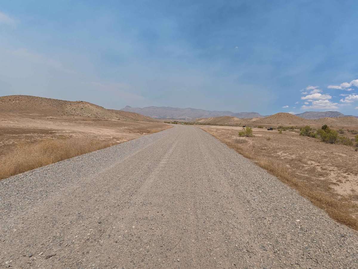 BLM 209X photo 3