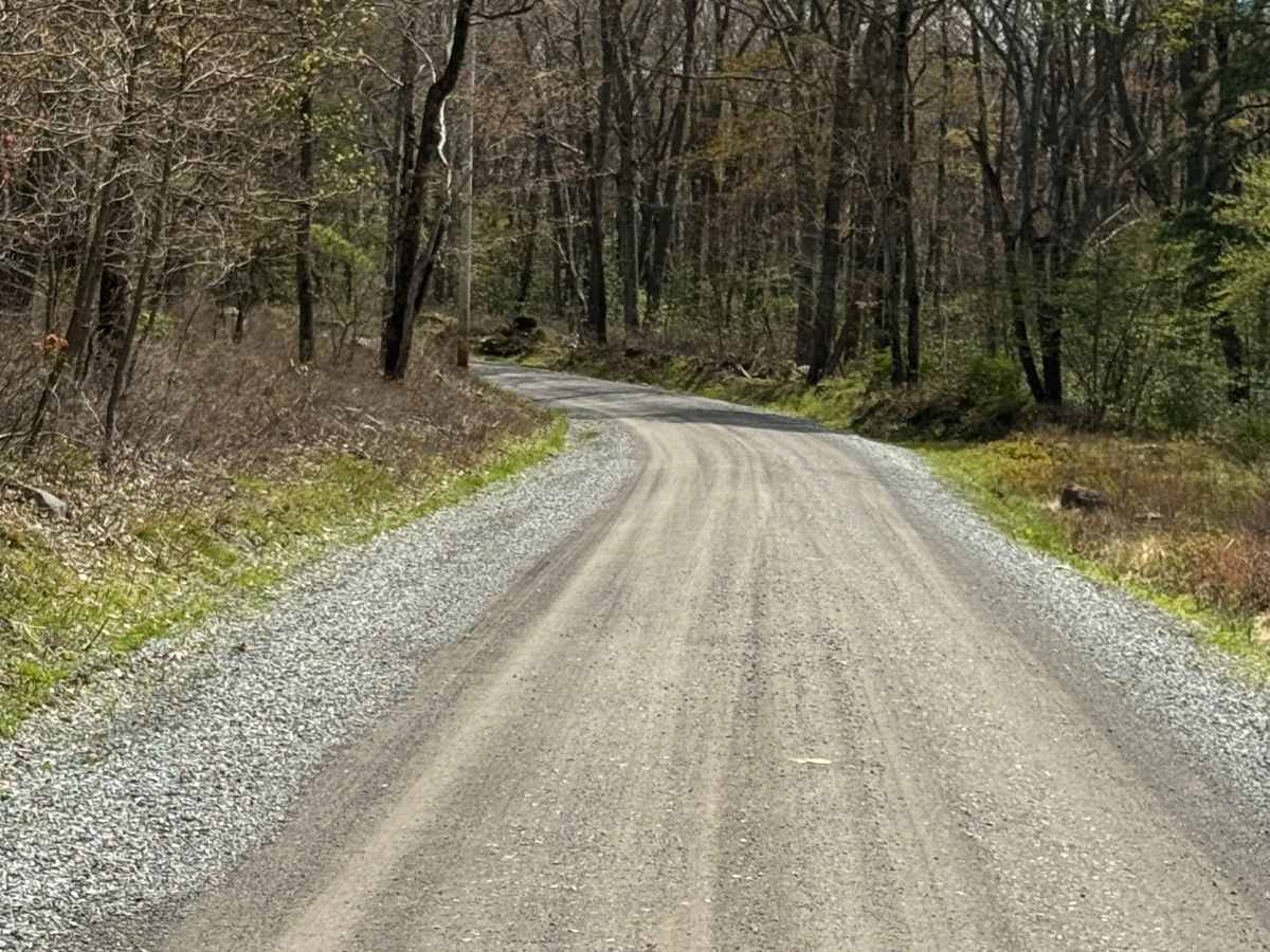 Kennedy Preserve Road photo 5