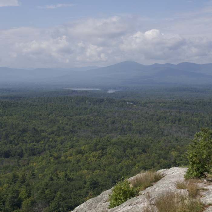 Near Sabattus Mountain Loop Trail