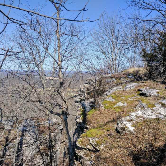 Near Lily Mountain Nature Preserve