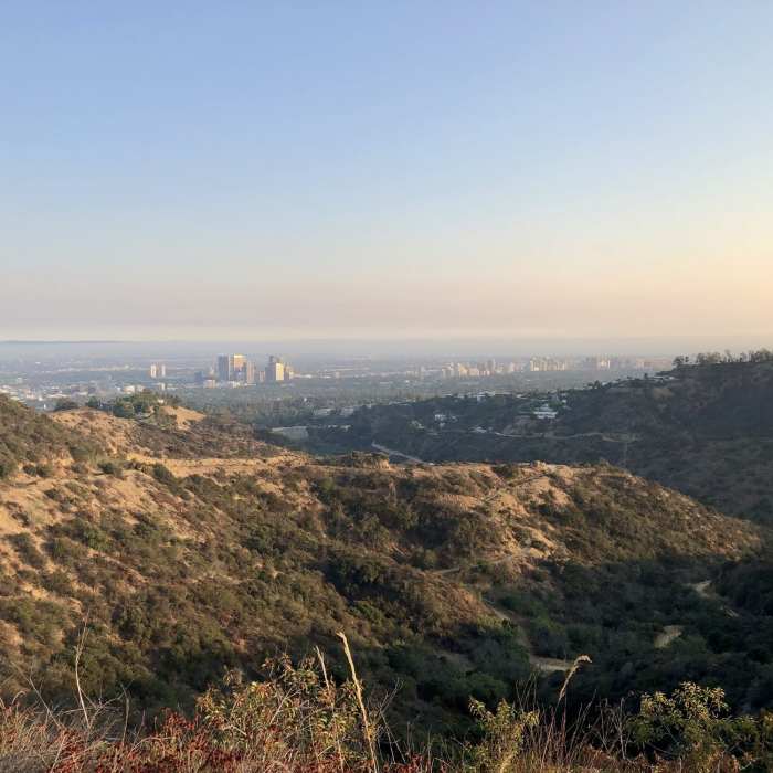 Near Lower Franklin Canyon Loop