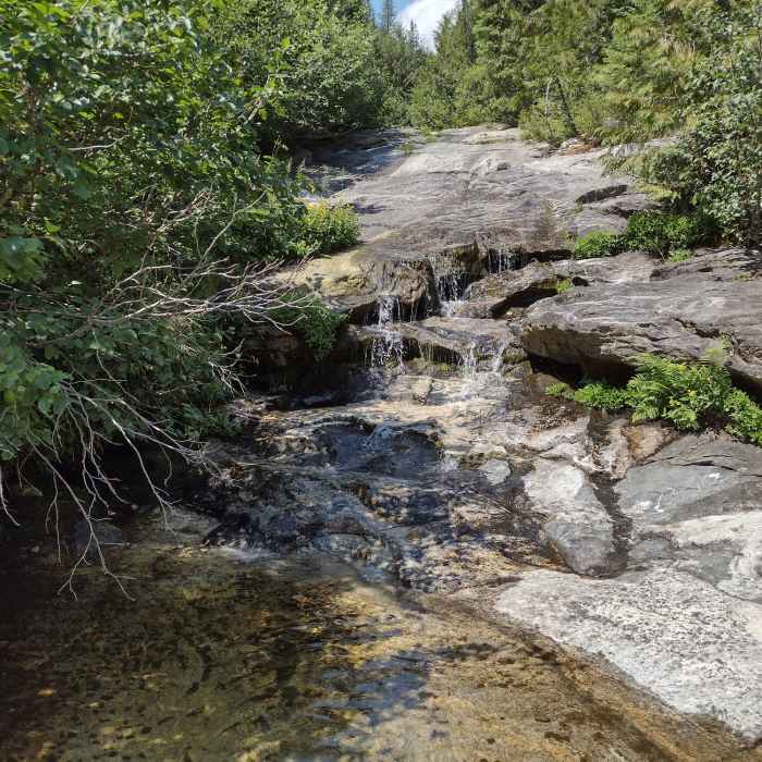 Near Fault Lake Trail #59