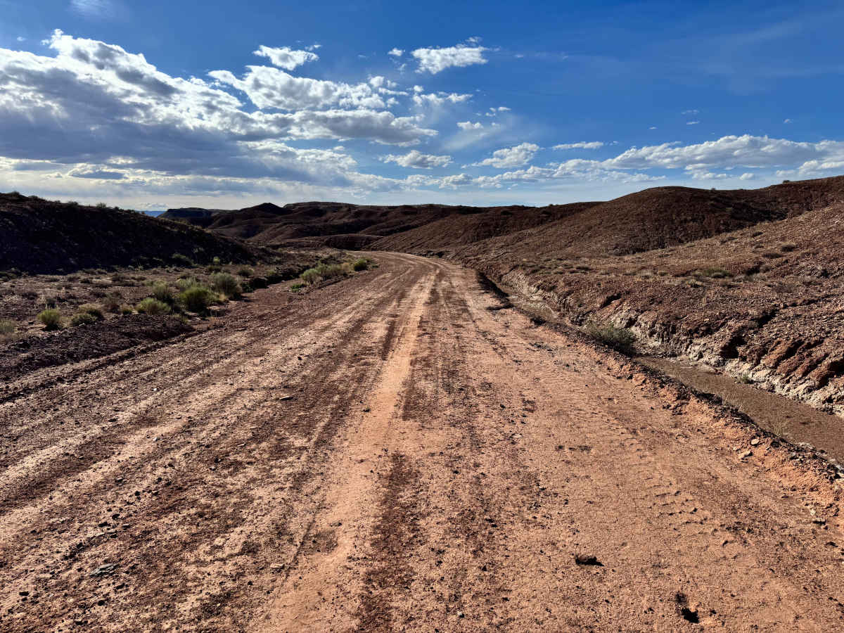 BLM 149 photo 3