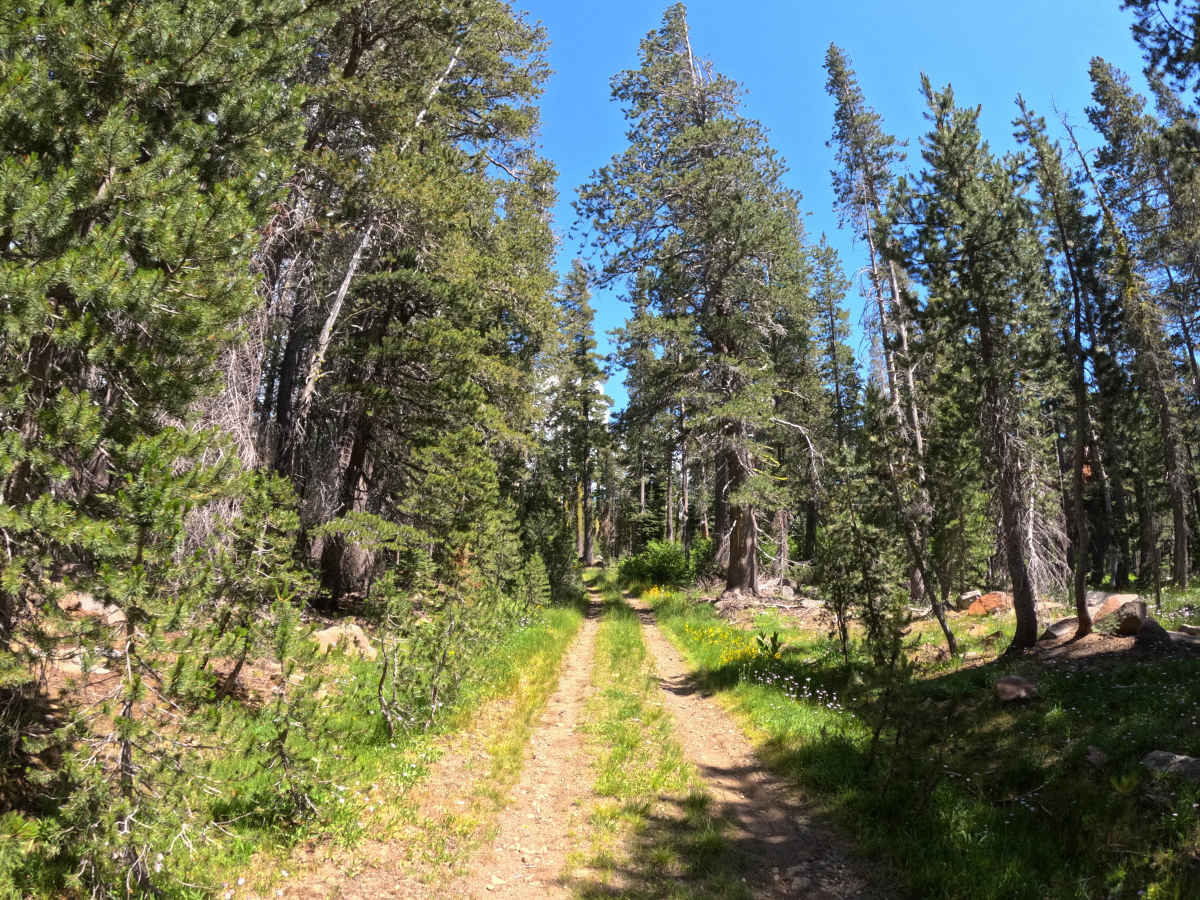 Church Creek - FS 28 photo 4
