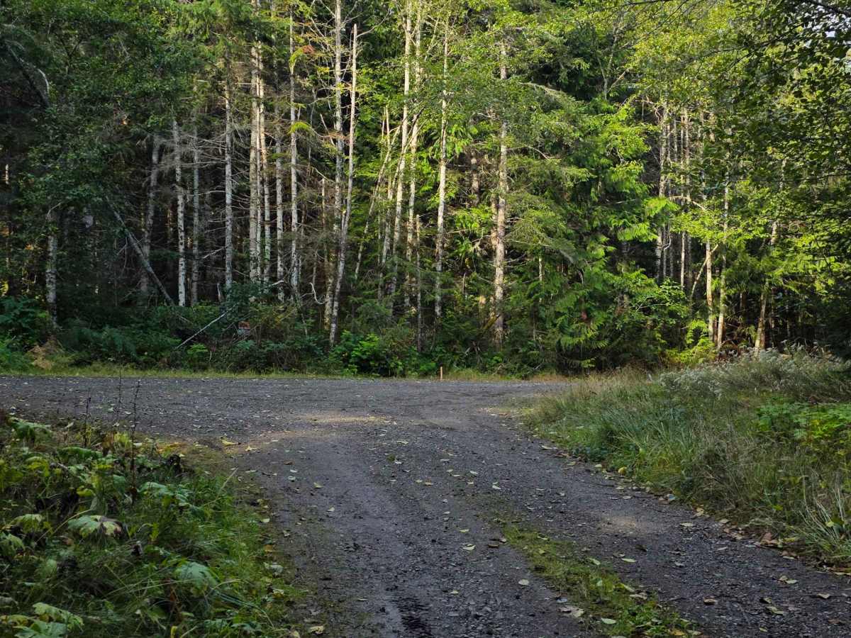 Trapper Creek - FS 2852 photo 2