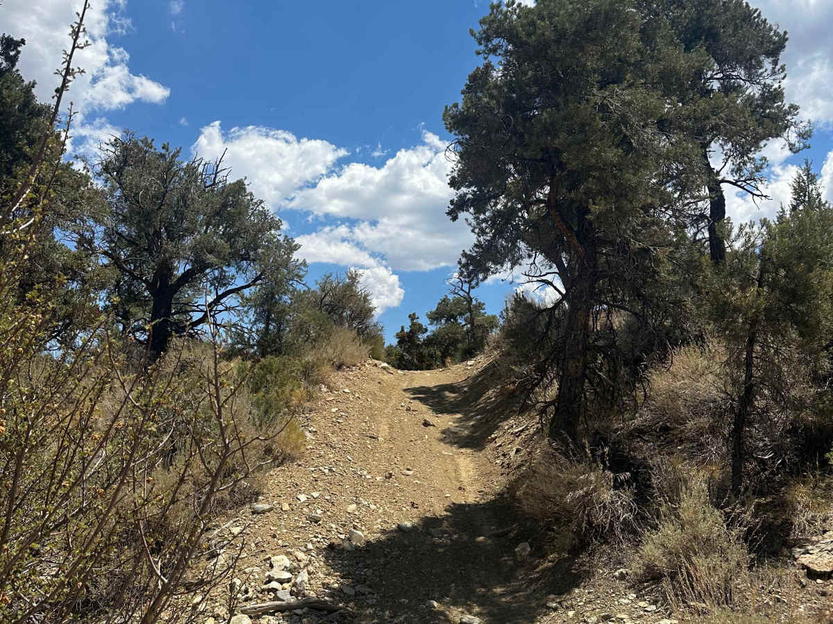 Pinyon & Vista Trail Loop - FS 2E20 photo 2